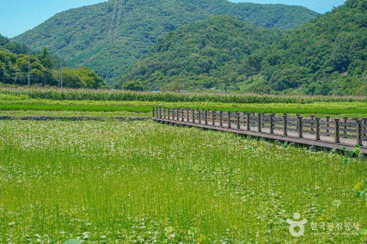상리연꽃공원_5_공공3유형.jpg