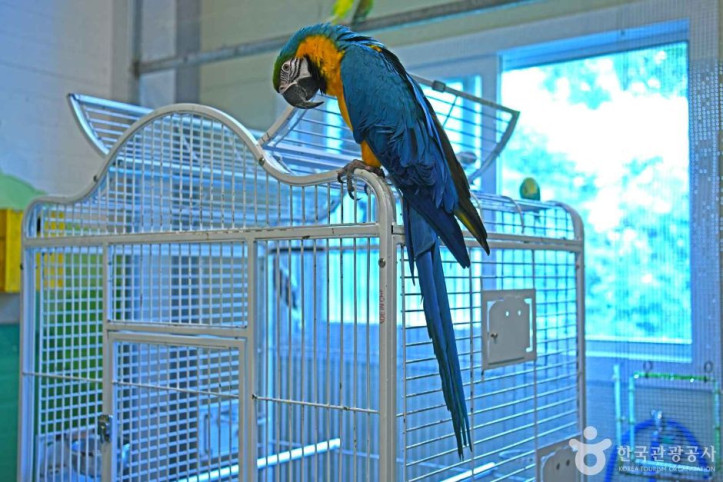 순창앵무새팜_2_공공3유형.JPG