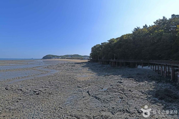 영흥도_십리포해변_3_공공3유형.jpg