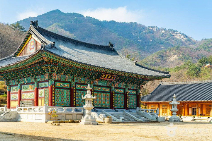 대흥사(단양) 여행 추천 - 메고지고