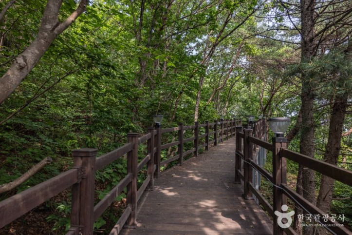 석모도_자연휴양림_10_공공1유형.jpg