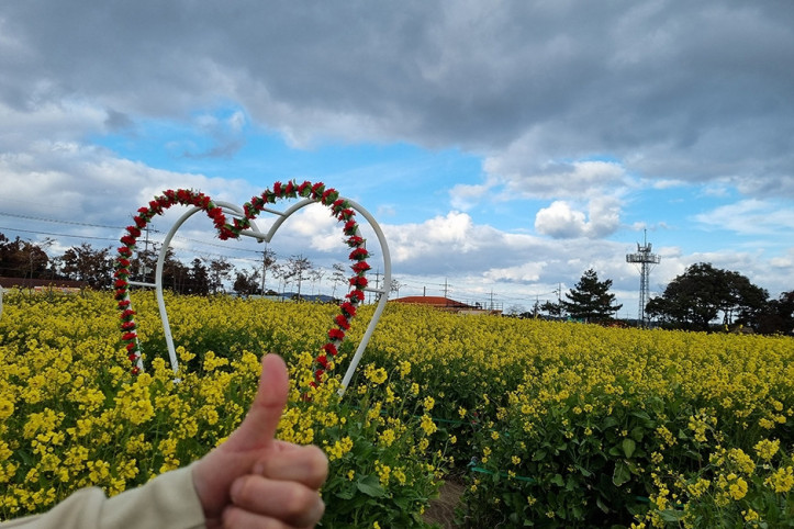 짱구네유채꽃밭_3_공공3유형.jpg