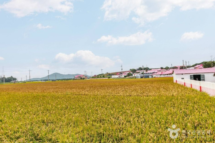 병풍도 여행 추천 - 메고지고