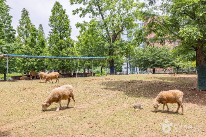 늘솔길공원양떼목장_2_공공1유형.jpg
