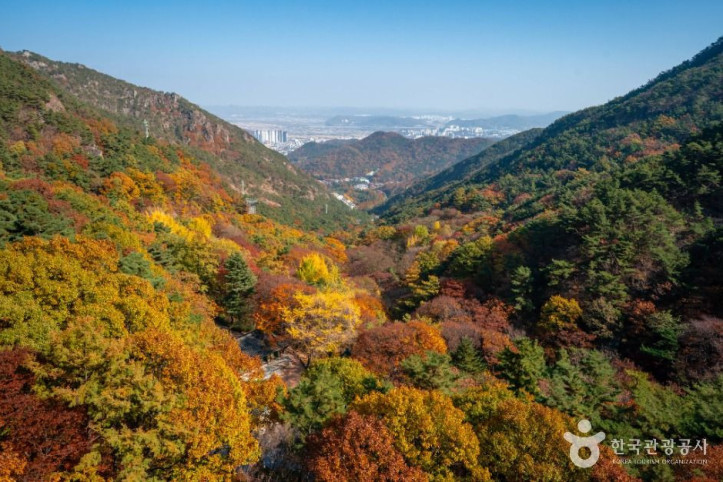 금오산도립공원 여행 추천 - 메고지고