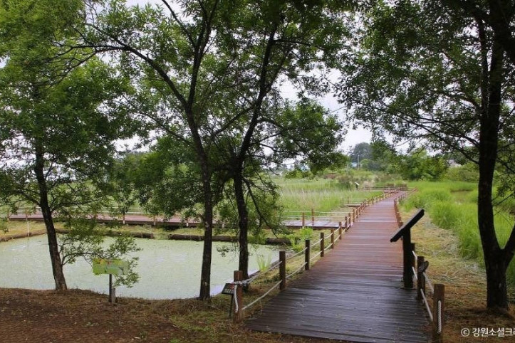 순포습지_6_공공3유형.jpg