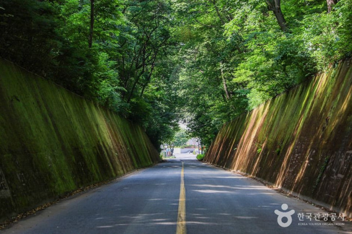 이끼터널_3_공공1유형.jpg