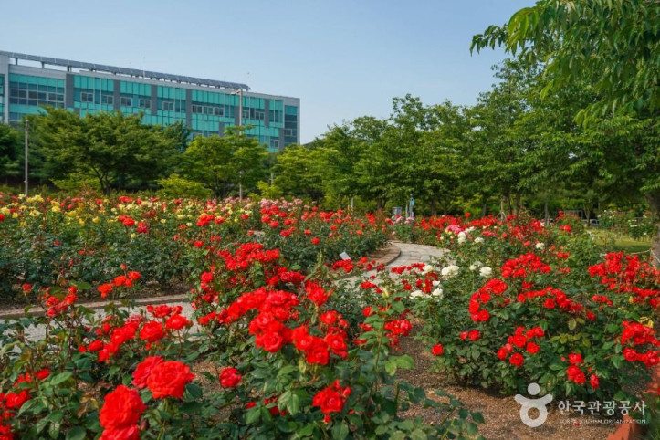 신서 중앙공원 여행 추천 - 메고지고
