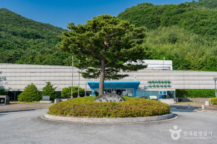 강릉_통일공원_3_공공1유형.jpg