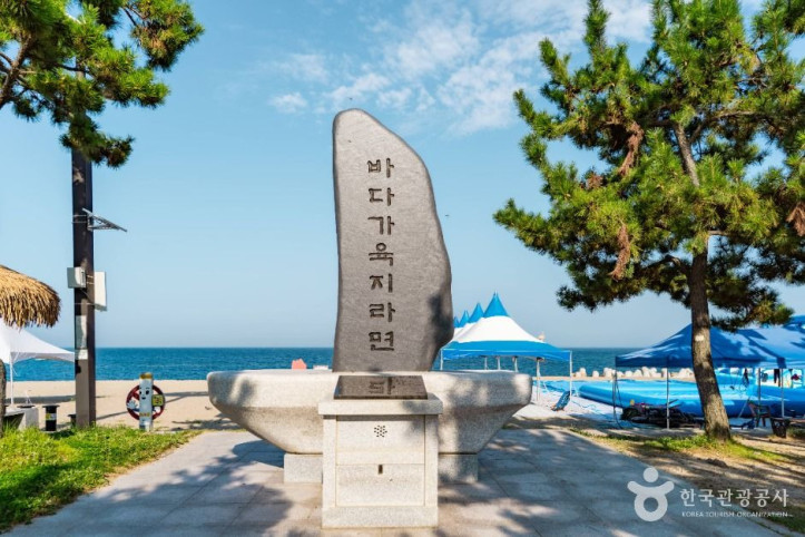 나정고운모래해변 여행 추천 - 메고지고