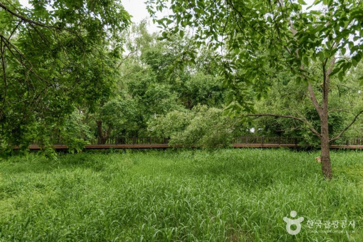 방이동_생태경관_보전지역_4_공공1유형.jpg