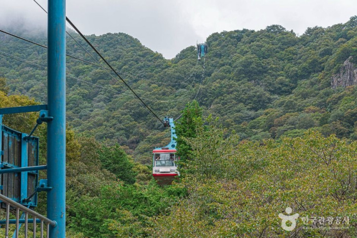 정읍 내장산 관광특구 여행 추천 - 메고지고
