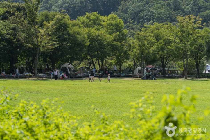 용인자연휴양림_2_공공1유형.jpg