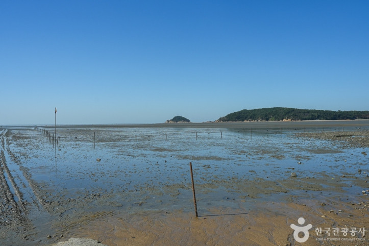 마시안갯벌체험장_6_공공3유형.jpg