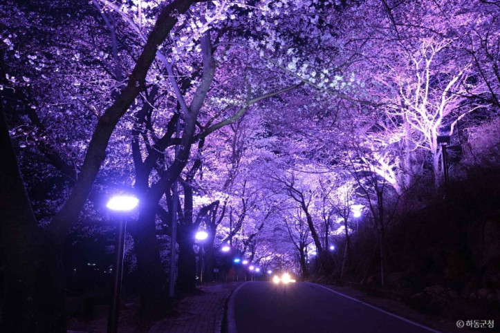 십리벚꽃길_6_공공3유형.jpg