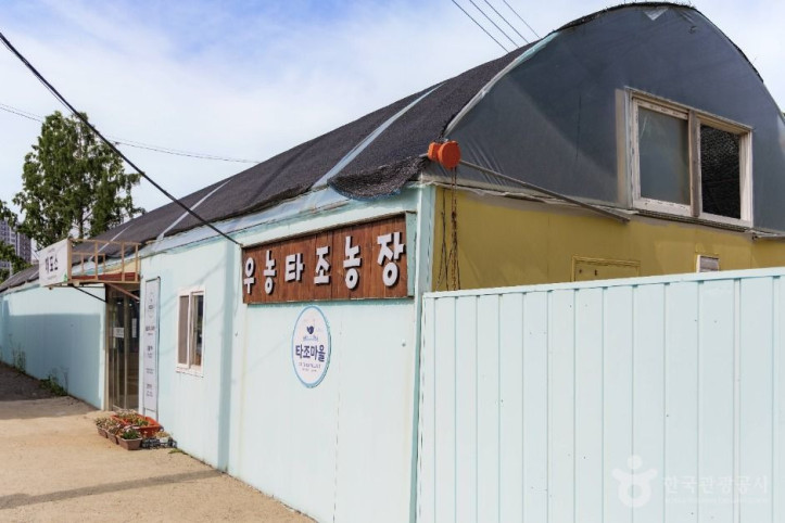 우농타조농장_4_공공1유형.jpg