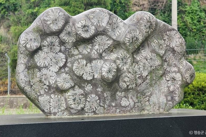 파천_구상_화강암_(청송_국가지질공원)_3_공공3유형.jpg