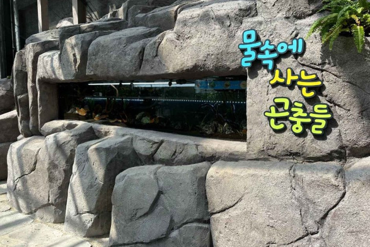 불암산나비정원 여행 추천 - 메고지고