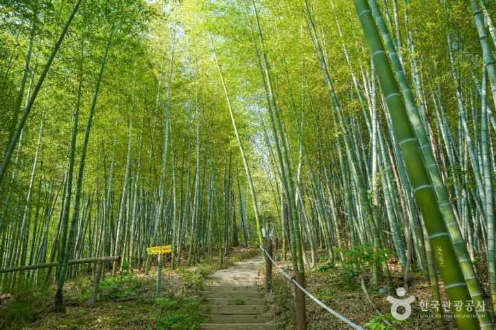 거제맹종죽테마공원_8_공공1유형.jpg