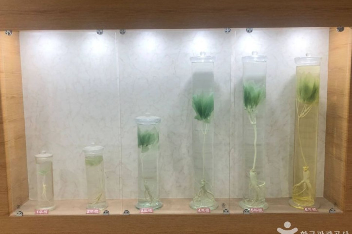 KGC인삼공사_원주공장_1_공공3유형.jpeg