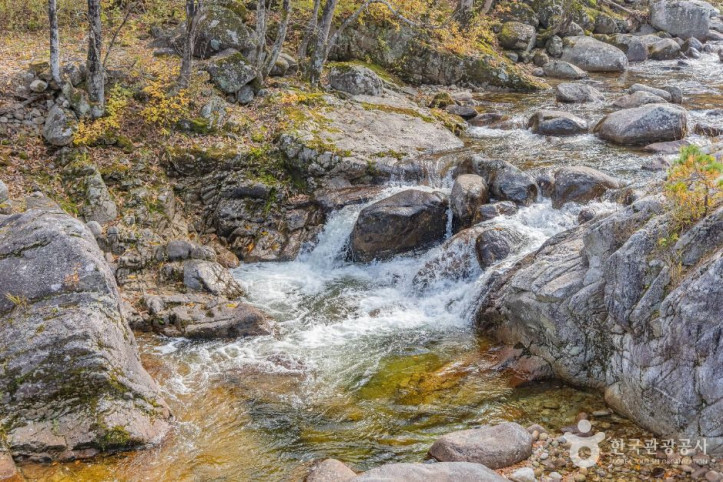 오대산_소금강계곡_1_공공1유형.jpg