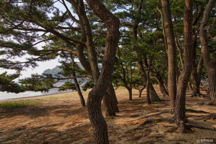 진촌해변 여행 추천 - 메고지고