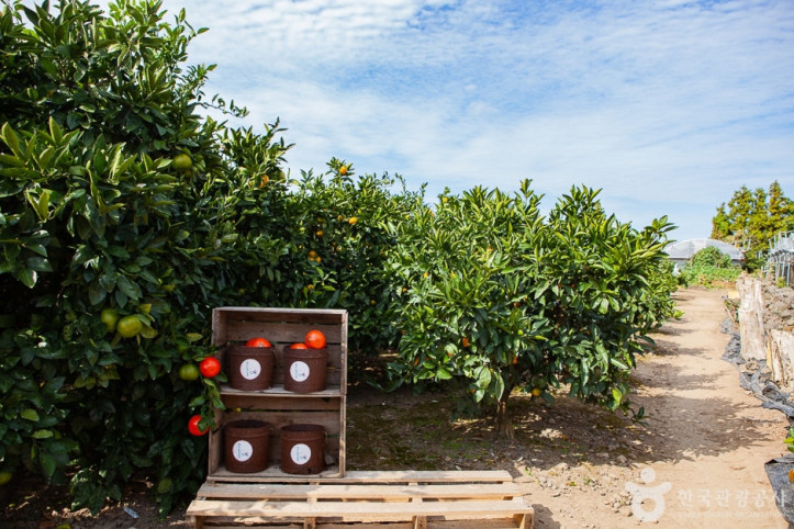 제주송정농원_7_공공3유형.jpg