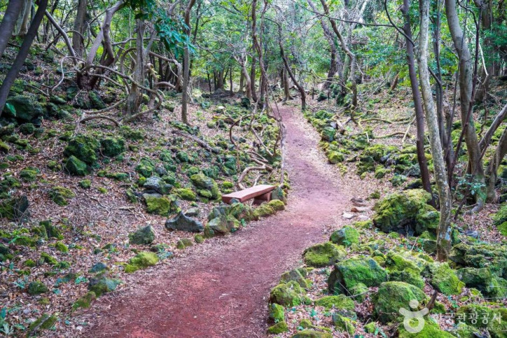 화순곶자왈_생태탐방숲길_7_공공1유형.jpg