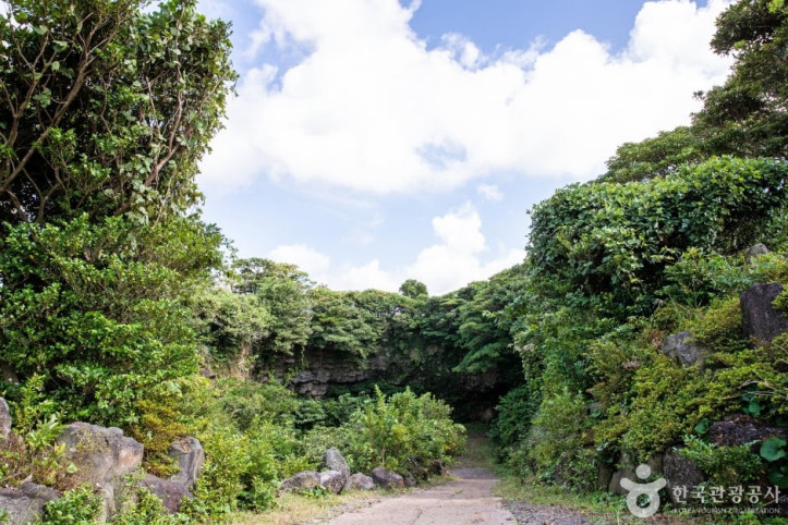 성읍녹차동굴_4_공공1유형.jpg