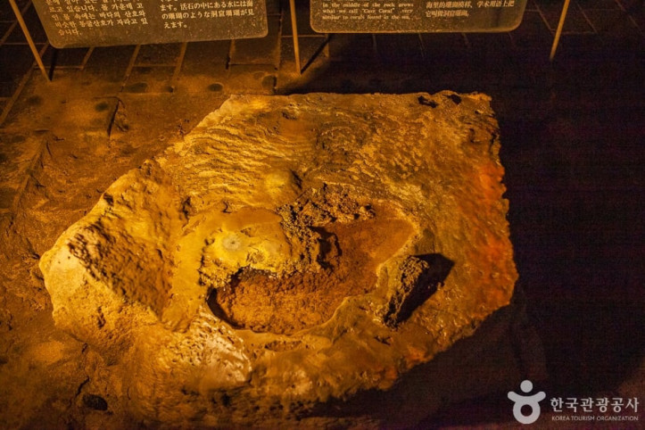 협재동굴_1_공공3유형.jpg
