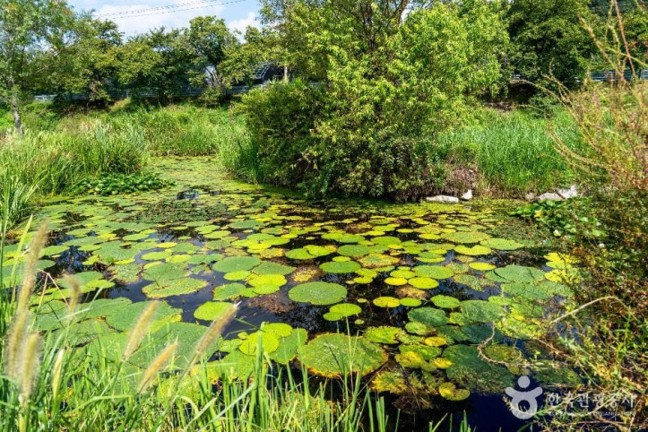 탄천민물고기습지생태원_3_공공1유형.jpg