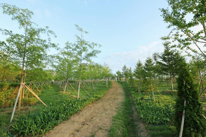 충주 시민의 숲 여행 추천 - 메고지고