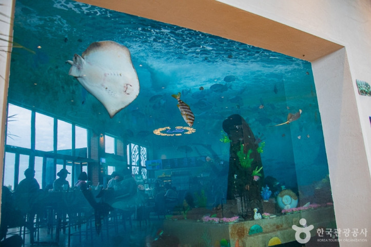 제주바다체험장_5_공공3유형.jpg