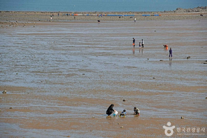 영흥도_십리포해변_1_공공3유형.jpg