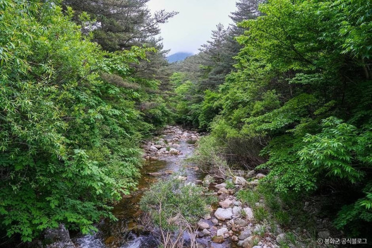 백천계곡_1_공공3유형.jpg