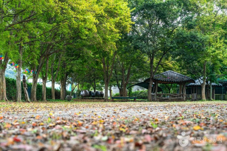 구암팜스테이마을 여행 추천 - 메고지고
