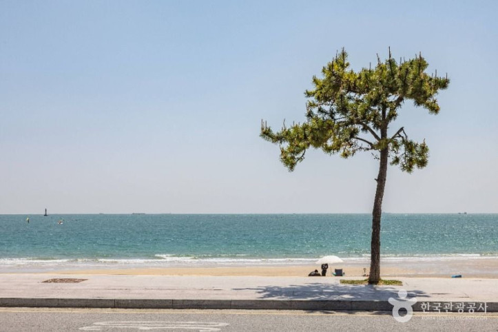 송정해수욕장_6_공공1유형.jpg