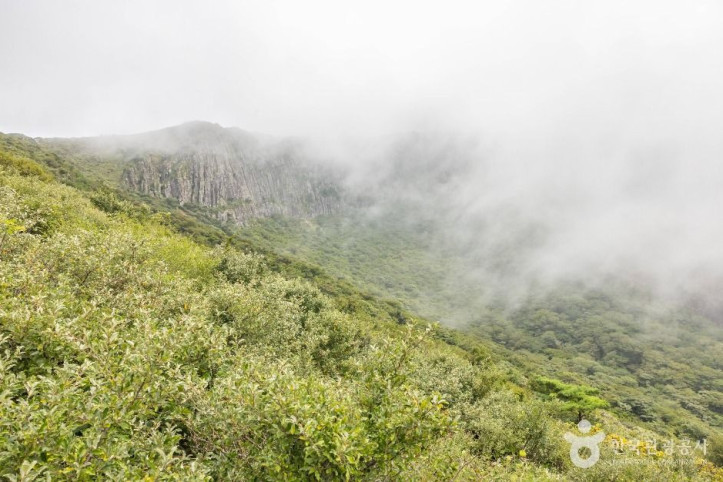 한라산_영실_5_공공1유형.jpg