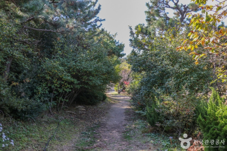 울산테마식물수목원_7_공공3유형.jpg