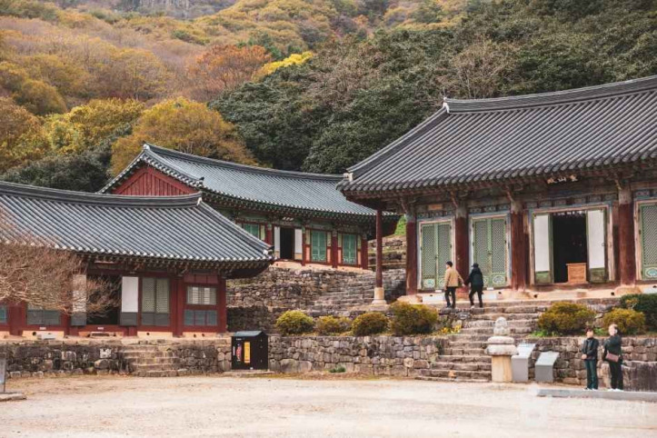 선운사(고창) 여행 추천 - 메고지고