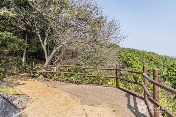 미래사_편백나무숲_5_공공1유형.jpg