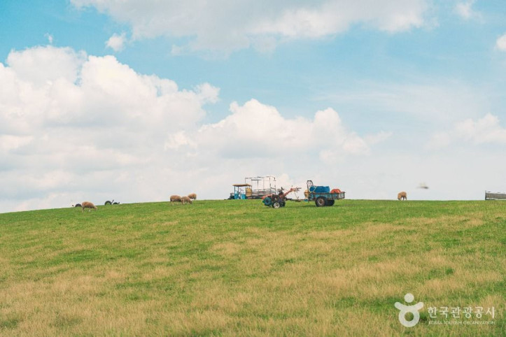 울산양떼목장_3_공공1유형.jpg
