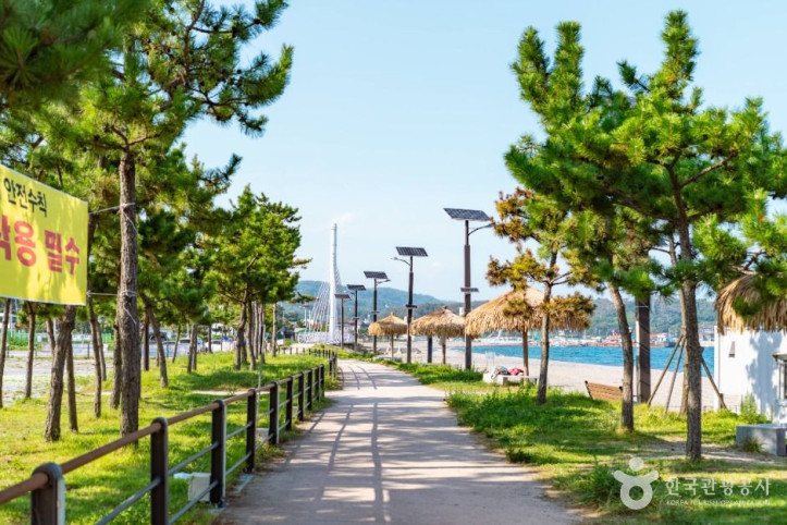 나정고운모래해변 여행 추천 - 메고지고