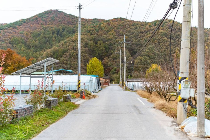 도정딸기마을 여행 추천 - 메고지고