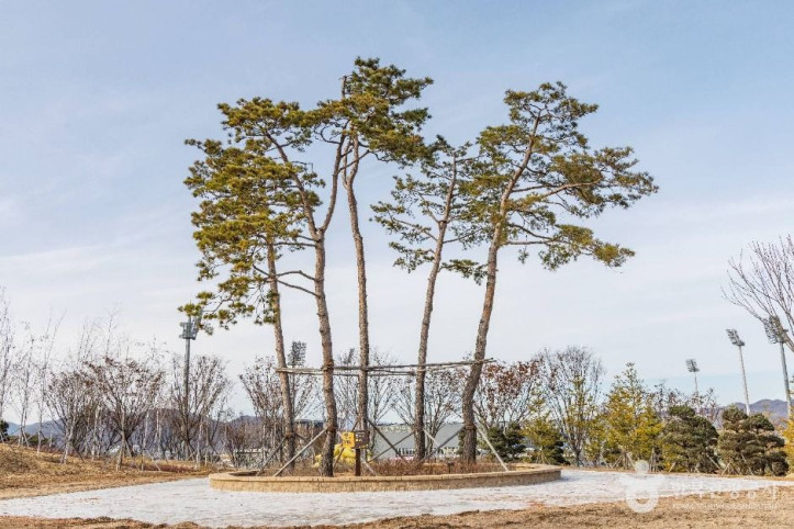 충주 시민의 숲 여행 추천 - 메고지고