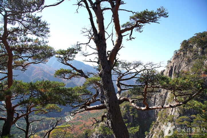 대승령과_대승폭포_1_공공3유형.jpg