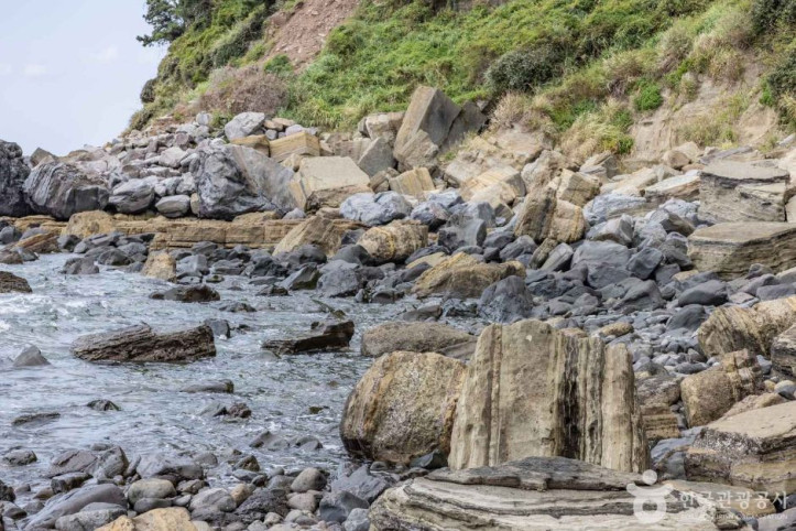서귀포_패류화석산지_8_공공3유형.jpg
