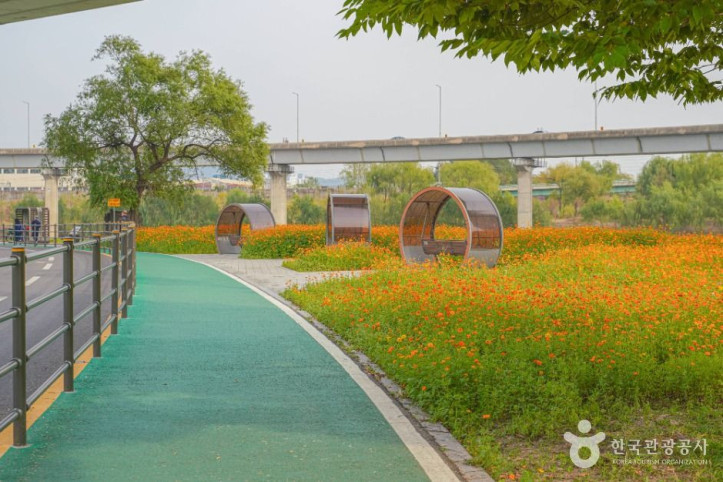 살곶이체육공원_8_공공1유형.jpg