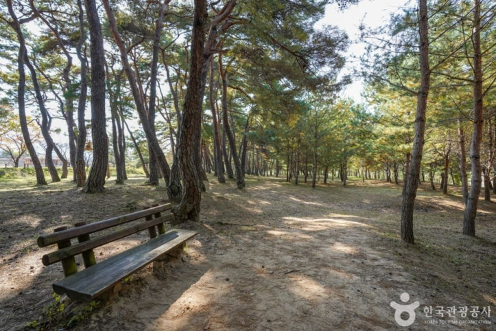 만송정_숲_9_공공3유형.jpg