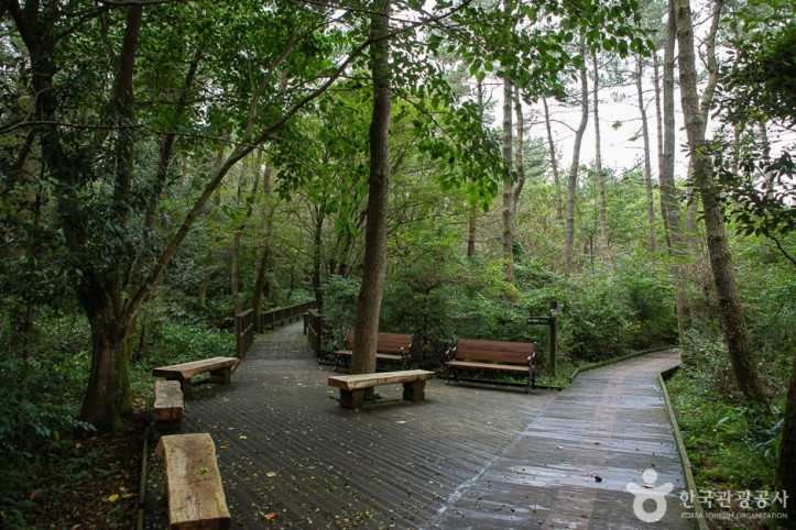 붉은오름자연휴양림_9_공공3유형.jpg